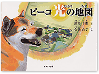 ピーコ光の地図 4-87208-076-9C8793